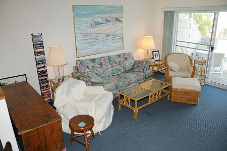 Living Room (with queen sleep sofa)