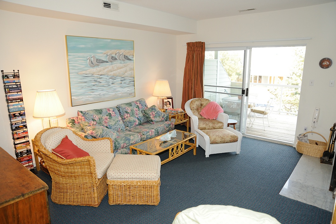 Living Room (with queen sleep sofa)